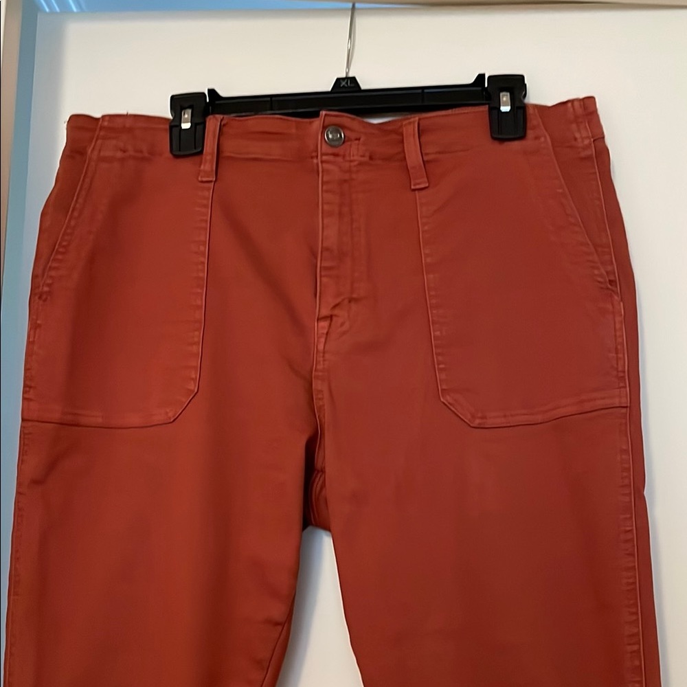 Rust Red Cropped Pants - Picture 3 of 6